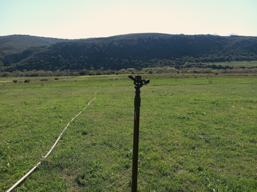 Commercial Property for Sale in George Rural Western Cape